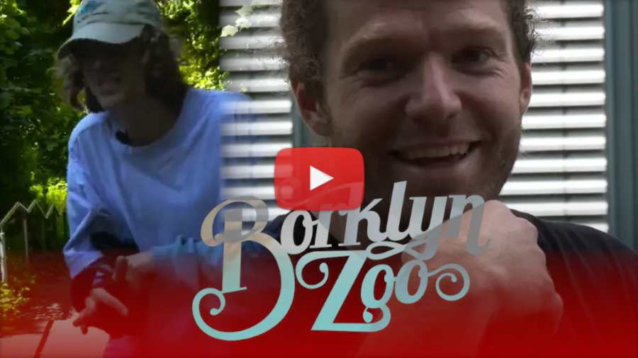 Borklyn Zoo Schabernack: Abrechnung