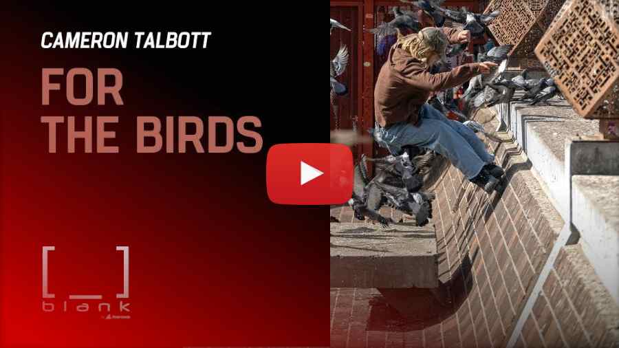 Cameron Talbott - For the Birds - Blank, Street Edit by Elijah Jennett